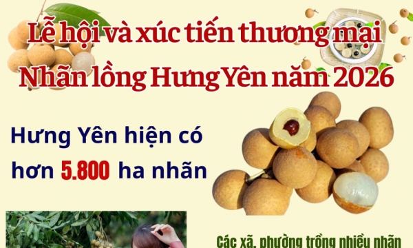 Lễ hội và xúc tiến thương mại nhãn lồng Hưng Yên năm 2026