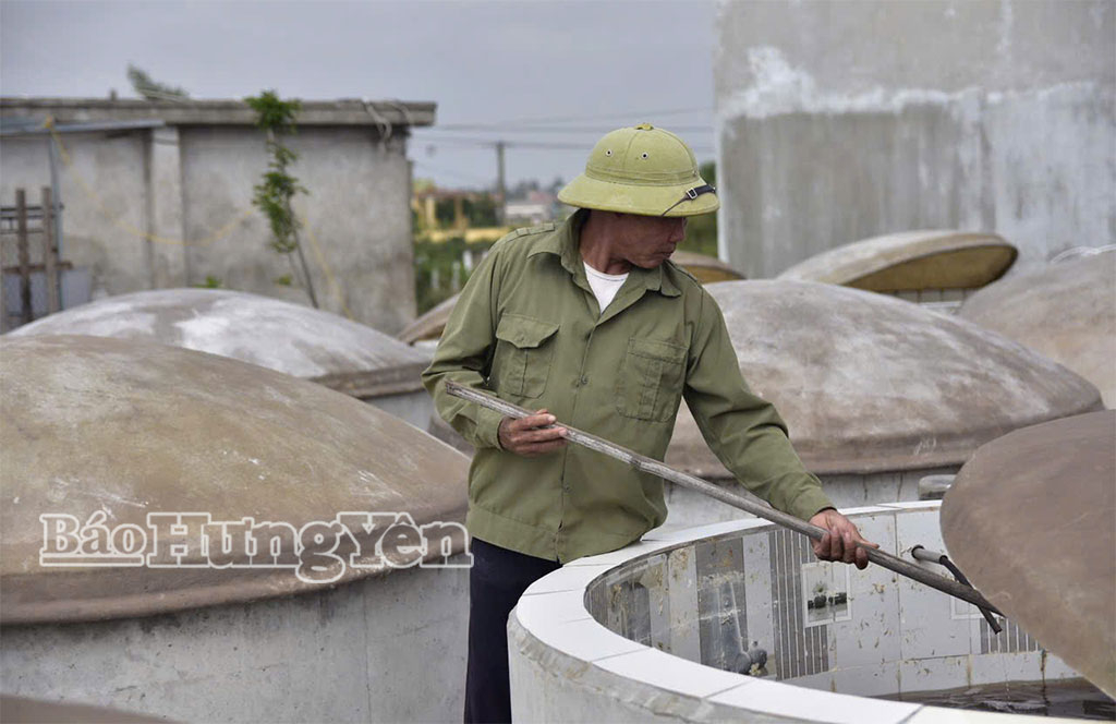 Sản xuất nước mắm tại Công ty TNHH Sản xuất và chế biến thủy hải sản số 06, xã Nam Cường.