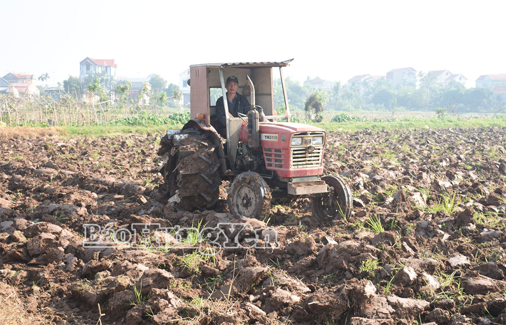 Thôn Lạc Dục (xã Tiên Lữ) đang đẩy nhanh tiến độ làm đất để kịp thời sản xuất vụ xuân.
