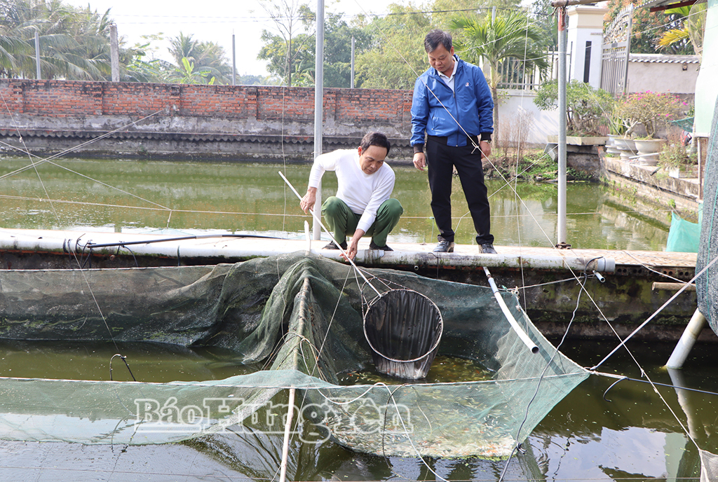 Lãnh đạo Hội CCB xã Bình Nguyên thăm mô hình nuôi cá cảnh của ông Phạm Văn Việt, hội viên CCB thôn Quân Hành.