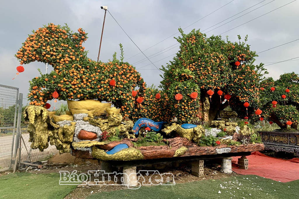 Tác phẩm kích thước lớn được được tạo hình từ những cây quýt chu sa cổ có giá bán hàng trăm triệu đồng.