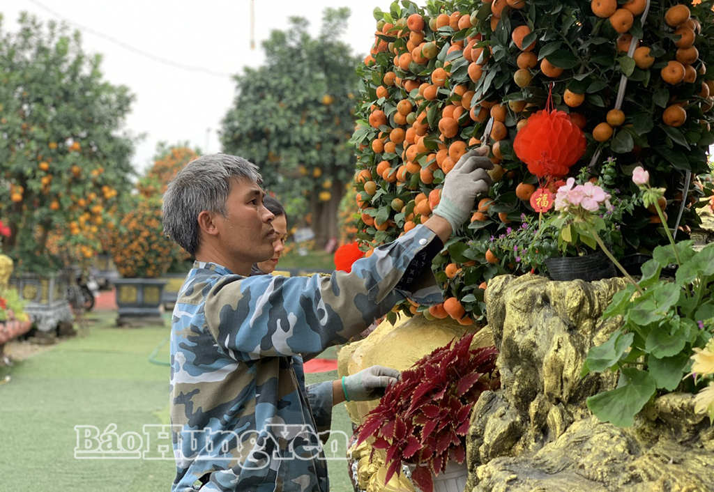 Anh Hưng cắt tỉa, trang trí, làm đẹp cho cây quýt cảnh.