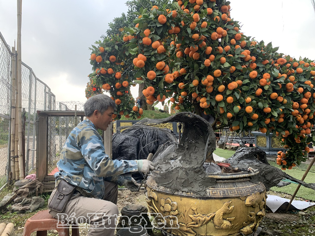 Anh Hưng đắp các chi tiết trang trí cho chậu quýt chu sa cảnh.
