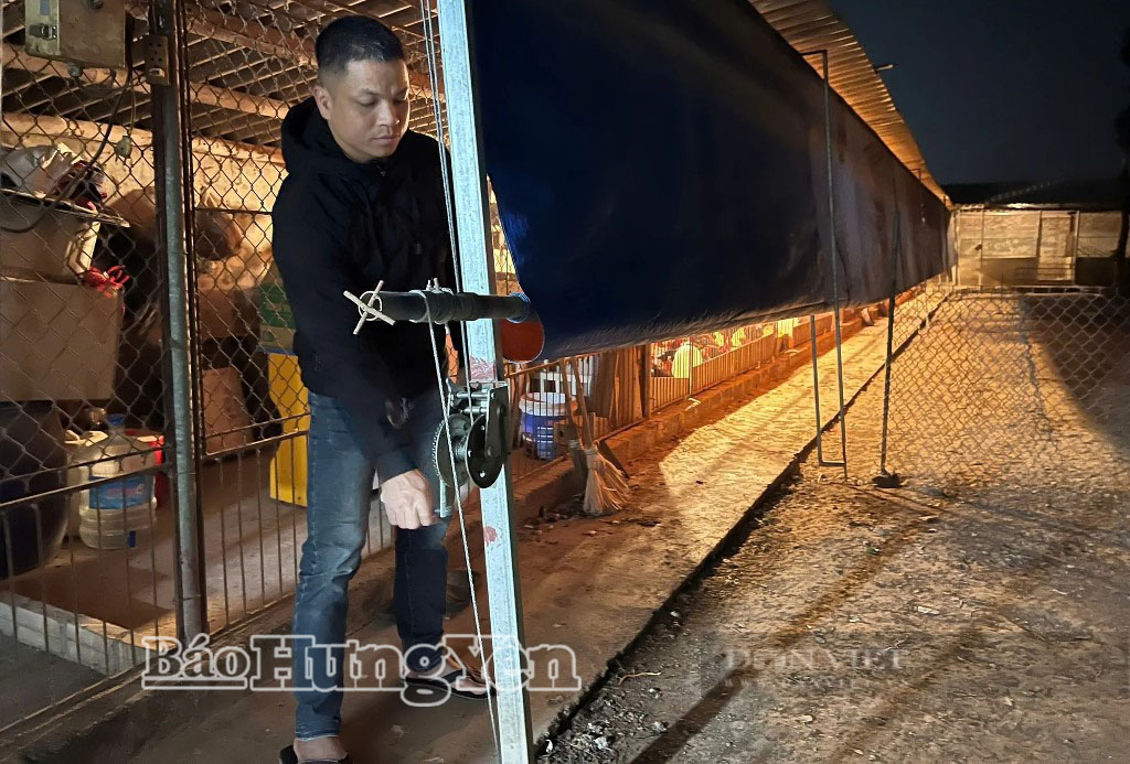 Anh Lê Gia Hân, ở xã Hoàn Long, căng bạt chống gió lùa bảo vệ đàn gà trước rét đậm, rét hại.