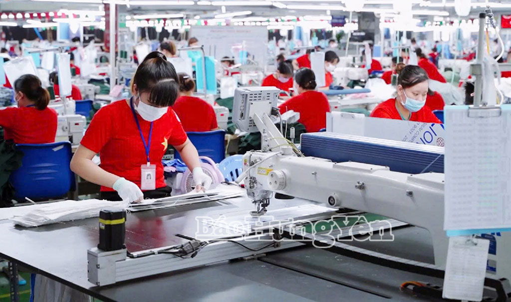 Sản xuất tại nhà máy may xuất khẩu của Công ty Cổ phần Tập đoàn Đại Dương Thái Thụy, xã Thái Thụy.