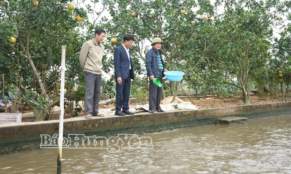 X&atilde; T&acirc;n Tiến: 1.533 hội vi&ecirc;n người cao tuổi đạt ti&ecirc;u chuẩn "Tuổi cao, gương s&aacute;ng"