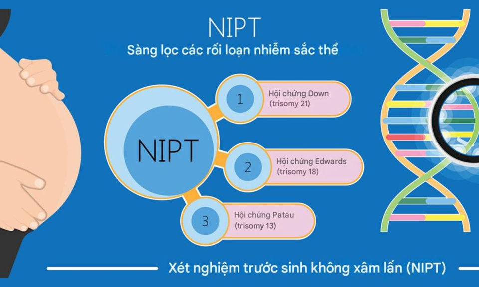 C&oacute; n&ecirc;n l&agrave;m NIPT kh&ocirc;ng? Những điều thai phụ cần biết từ sớm