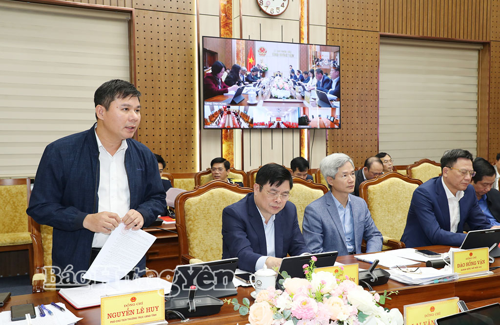 Đồng chí Phó Chủ tịch Thường trực UBND tỉnh Nguyễn Lê Huy phát biểu tại phiên họp và hội nghị.