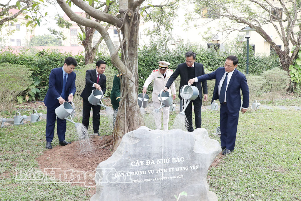 Các đại biểu chăm sóc “Cây đa nhớ Bác” tại Nhà lưu niệm Bác Hồ (phường Phố Hiến). (Ảnh Lê Hiếu)