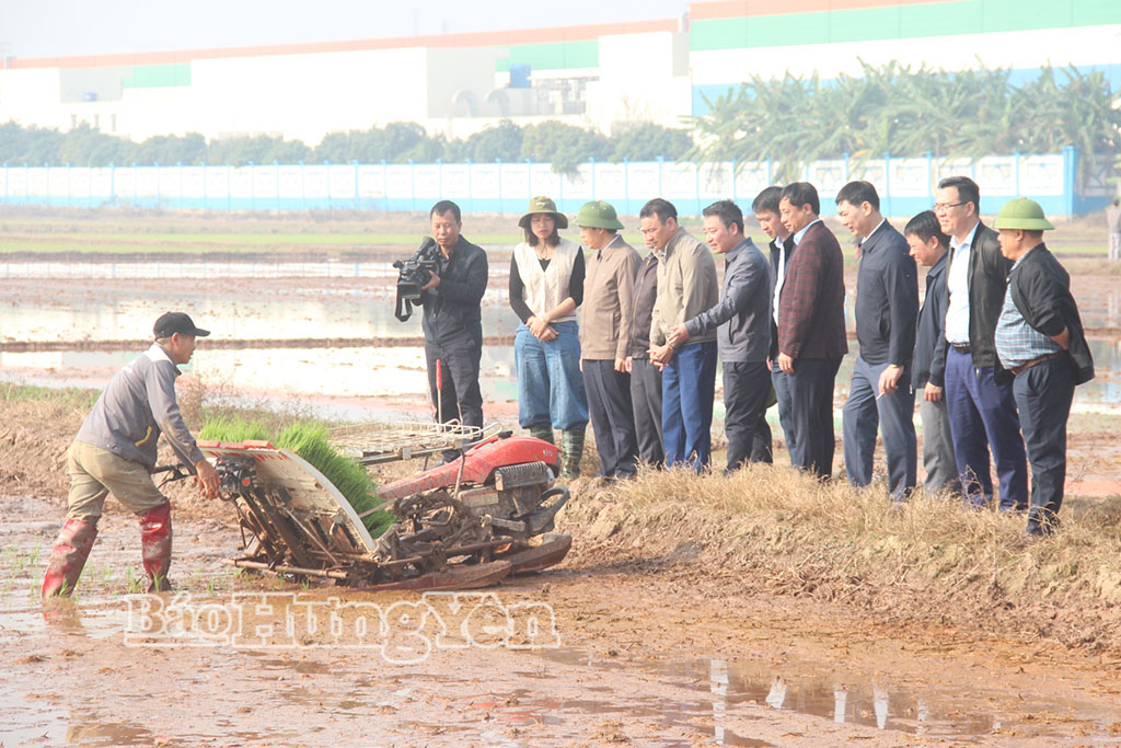 Đồng chí Phó Chủ tịch UBND tỉnh Lại Văn Hoàn kiểm tra tiến độ gieo cấy lúa xuân tại xã Quỳnh An.
