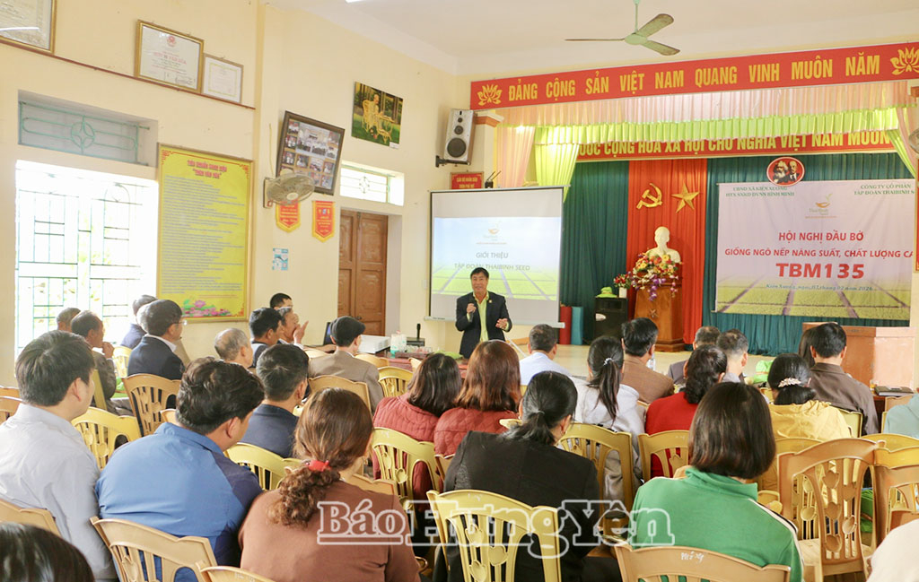 Cán bộ Công ty Cổ phần Tập đoàn ThaiBinh Seed giới thiệu giống ngô nếp TBM135.