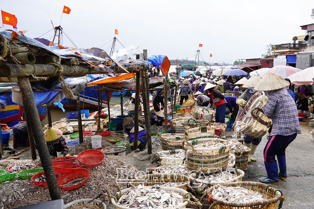 Cảng cá Tân Sơn nhộn nhịp ngày cuối năm.