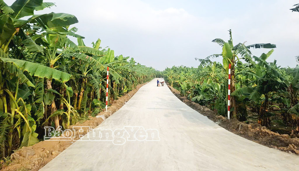 Đường giao thông nội đồng ở thôn Vân Nghệ được đầu tư nâng cấp.