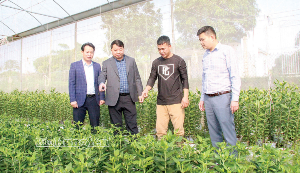 Lãnh đạo xã Long Hưng kiểm tra mô hình trồng hoa ly tại thôn Bùi Xá.