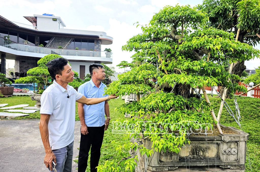 Nghệ nhân làng vườn Bách Thuận, xã Tân Thuận giới thiệu cho du khách về tác phẩm cây cảnh.