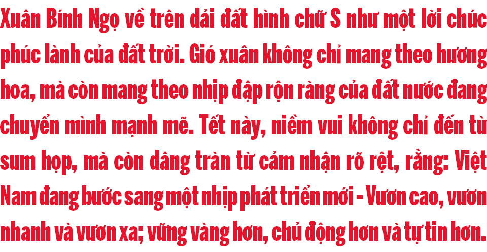 Ảnh co giãn vừa văn bản