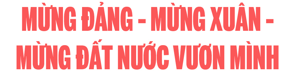 Ảnh co giãn vừa văn bản