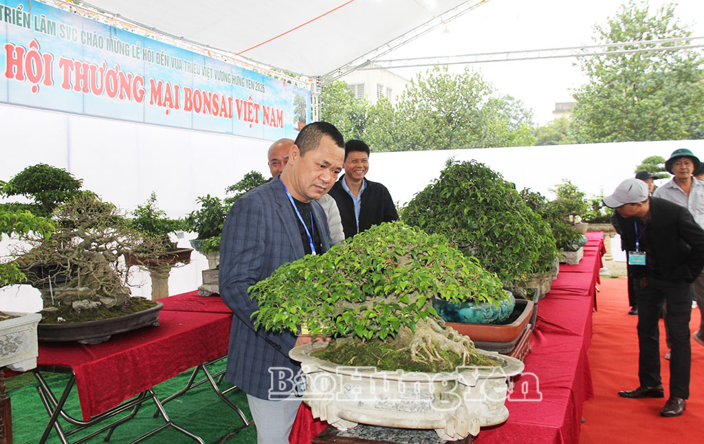 Triển lãm sinh vật cảnh tại xã Triệu Việt Vương thu hút đông đảo Nhân dân và du khách đến tham quan.