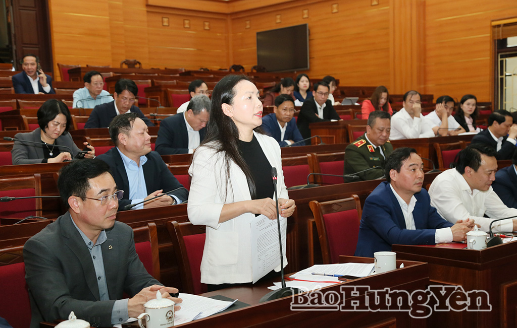 Đồng chí Ngô Thị Kim Hoàn, Ủy viên Ban Thường vụ Tỉnh ủy, Phó Chủ tịch Thường trực Ủy ban MTTQ Việt Nam tỉnh, Phó Chủ tịch Ủy ban bầu cử tỉnh phát biểu tại hội nghị.