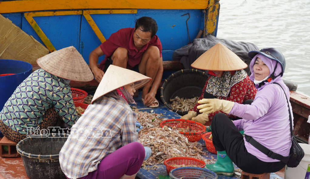 Ngay tại thuyền, hải sản được phân loại, bán cho thương lái.