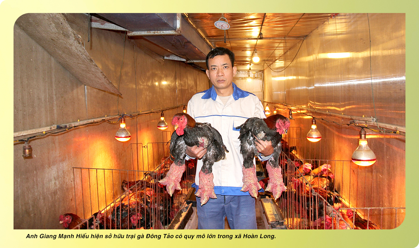 Ảnh co giãn vừa văn bản