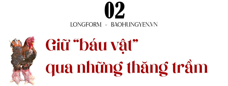Ảnh co giãn vừa văn bản