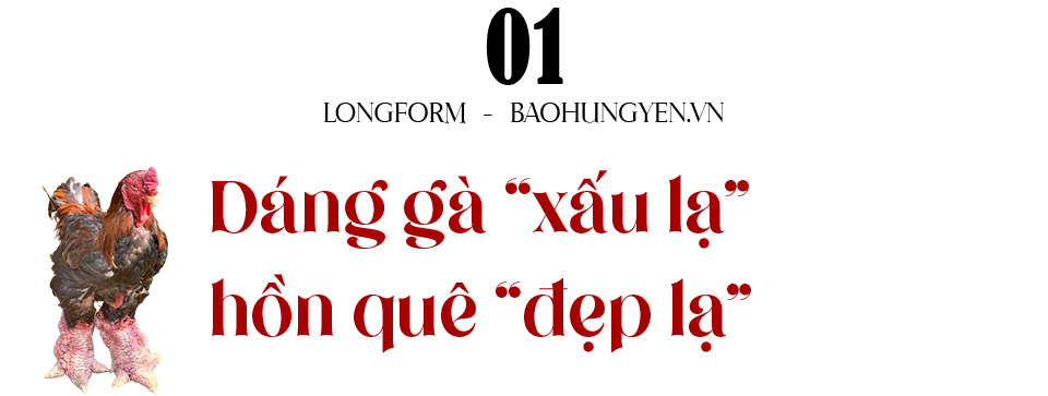Ảnh co giãn vừa văn bản