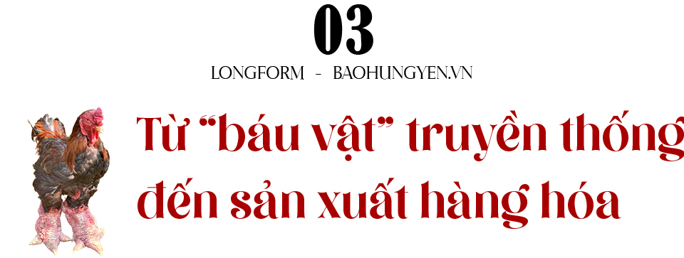 Ảnh co giãn vừa văn bản