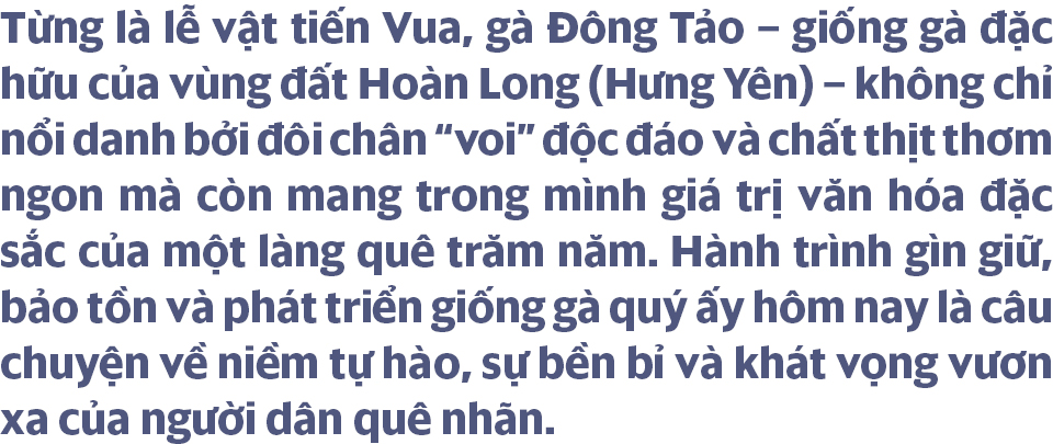 Ảnh co giãn vừa văn bản