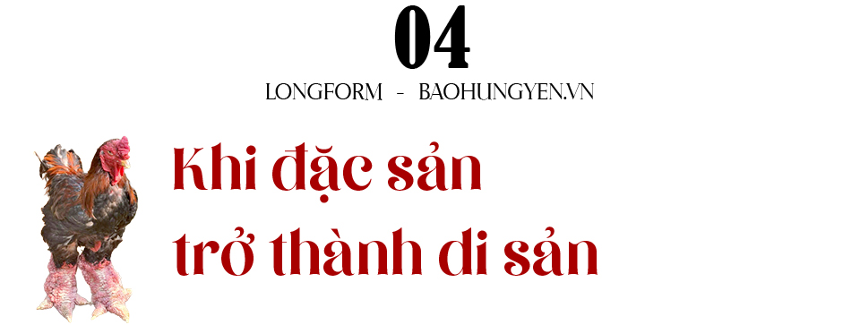 Ảnh co giãn vừa văn bản