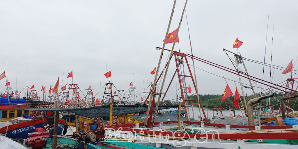 Khu vực cảng cá thôn Quang Thịnh, xã Nam Cường thường xuyên có khoảng 30 tàu thuyền của ngư dân làng chài neo đậu.