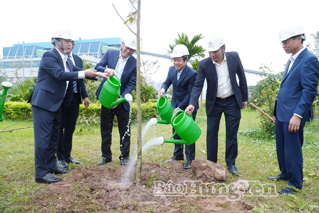 Các đồng chí lãnh đạo tỉnh trồng cây lưu niệm tại khuôn viên Nhà máy Nhiệt điện Thái Bình - Công ty Nhiệt điện Thái Bình, xã Đông Thái Ninh.