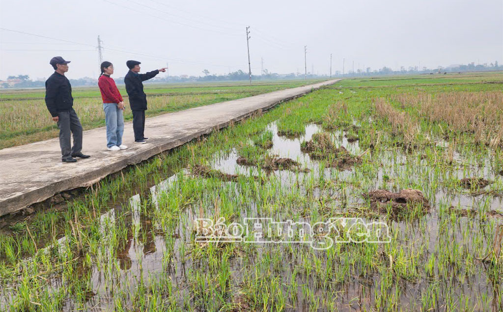 Người dân thôn Vô Thái đồng thuận bàn giao mặt bằng.
