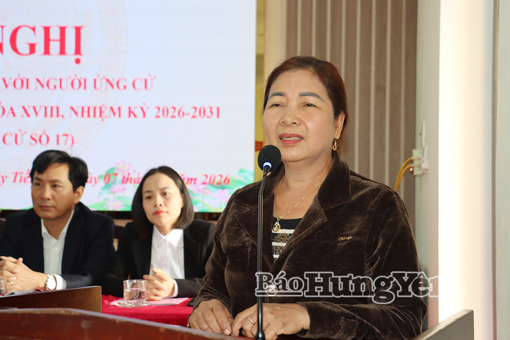 Cử tri xã Tây Tiền Hải phát biểu ý kiến tại hội nghị.