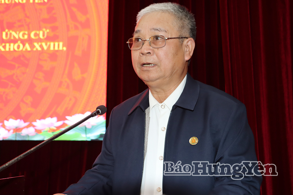 Cử tri xã Tiền Hải phát biểu tại hội nghị.