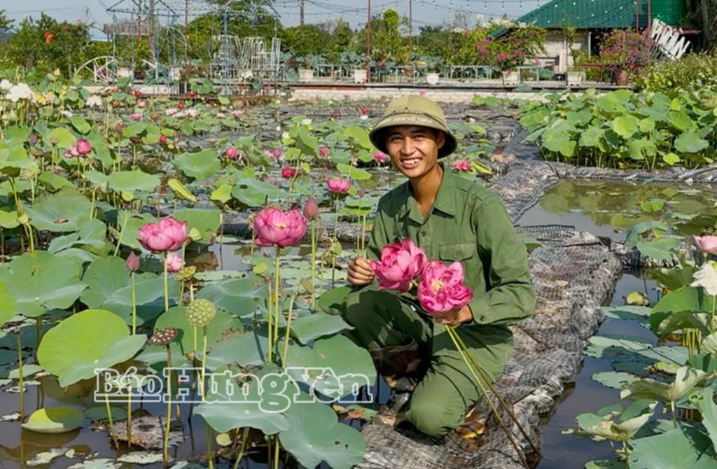 Anh Vũ Thanh Toàn phát triển kinh tế từ trồng và kinh doanh các sản phẩm từ sen.