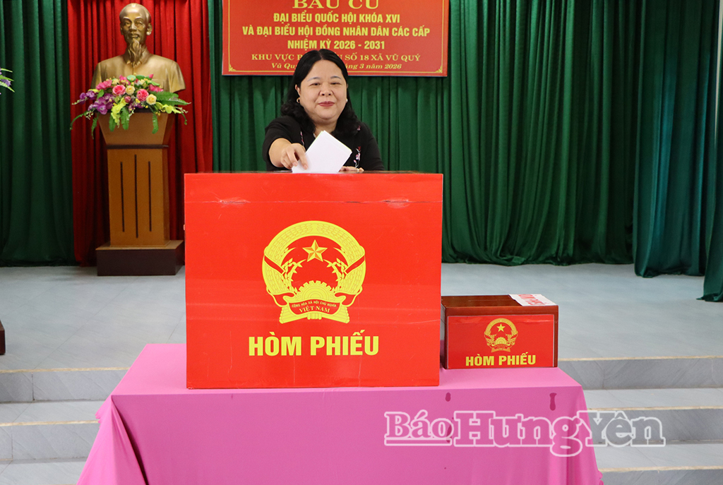 Cử tri Nguyễn Thị Liên, thôn 2, xã Vũ Quý bỏ phiếu bầu.