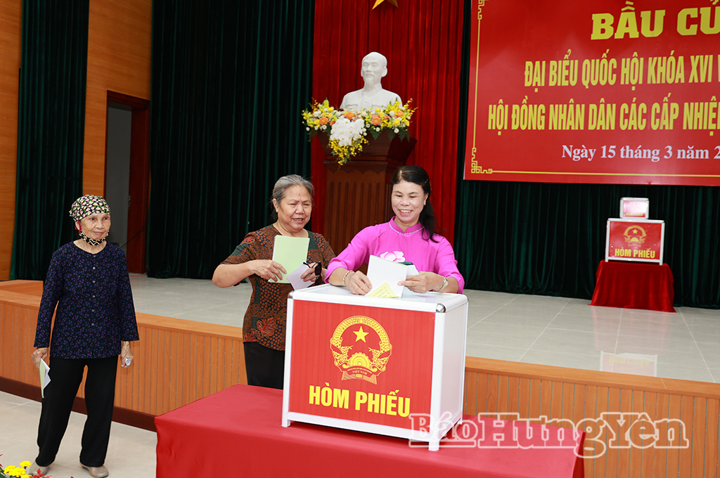 Cử tri bỏ phiếu bầu.