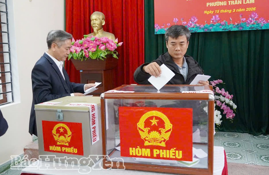 Cử tri tham gia bỏ phiếu.