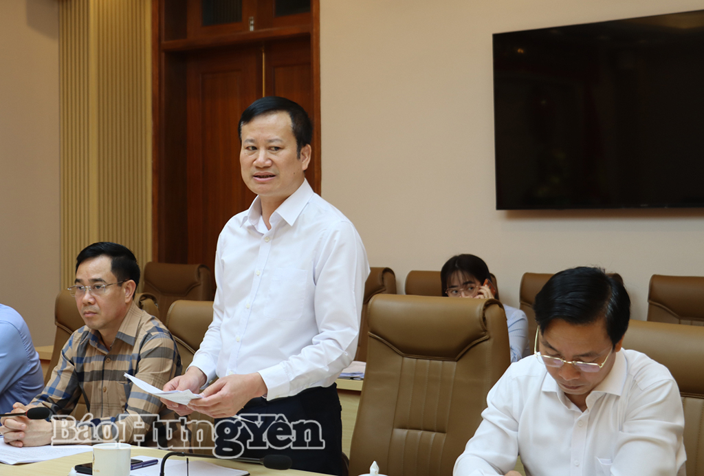 Lãnh đạo Tòa án nhân dân tỉnh phát biểu tại hội nghị.