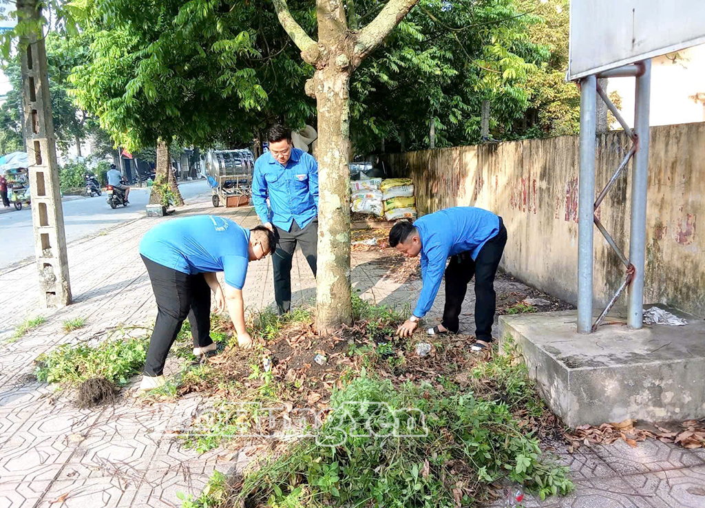 Đoàn Thanh niên xã Vũ Quý ra quân dọn vệ sinh môi trường . 