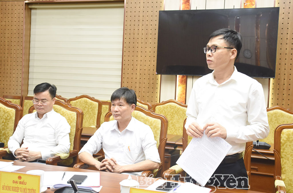 Lãnh đạo Sở Văn hóa, Thể thao và Du lịch phát biểu tại cuộc họp.