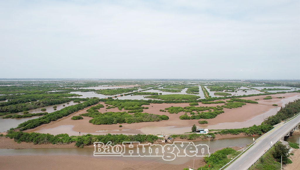 Khu vực xây dựng sân golf Cồn Vành.