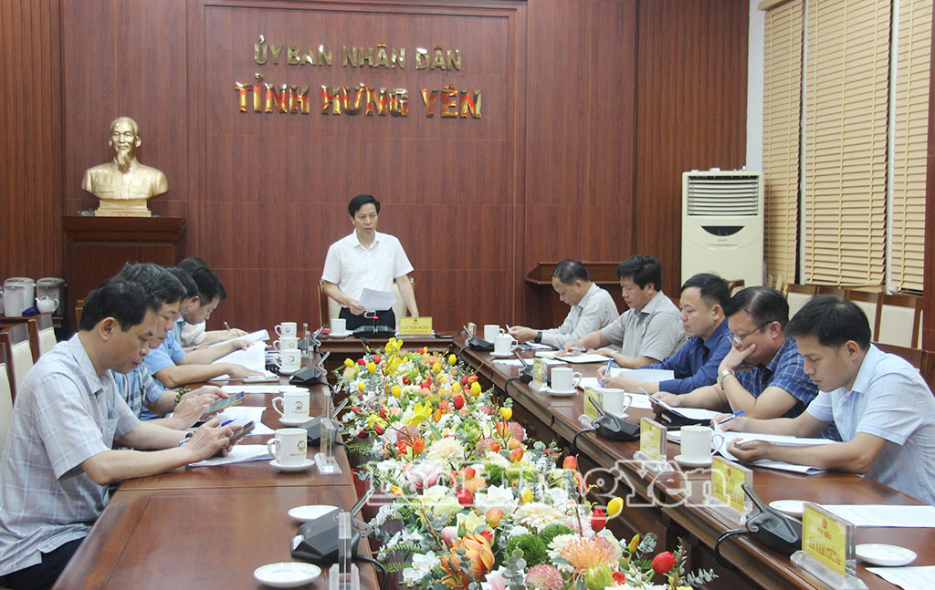 Đồng chí Lại Văn Hoàn, Phó Chủ tịch UBND tỉnh chủ trì cuộc họp.