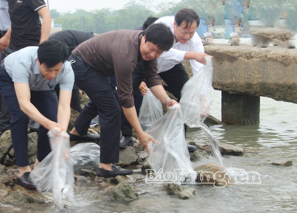 Đồng chí Phó Chủ tịch UBND tỉnh Lại Văn Hoàn cùng lãnh đạo Sở Nông nghiệp và Môi trường thực hiện thả giống thủy sản ra vùng nước tự nhiên tại phường Phố Hiến, khu vực sông Hồng.