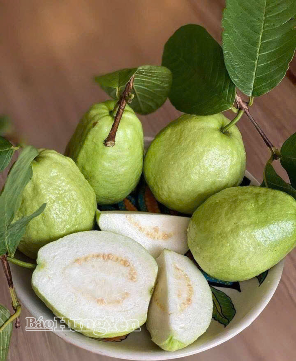 Sản phẩm ổi lê của HTX có đặc trưng quả giòn, vị ngọt đậm, mẫu mã đẹp, được thị trường ưa chuộng.