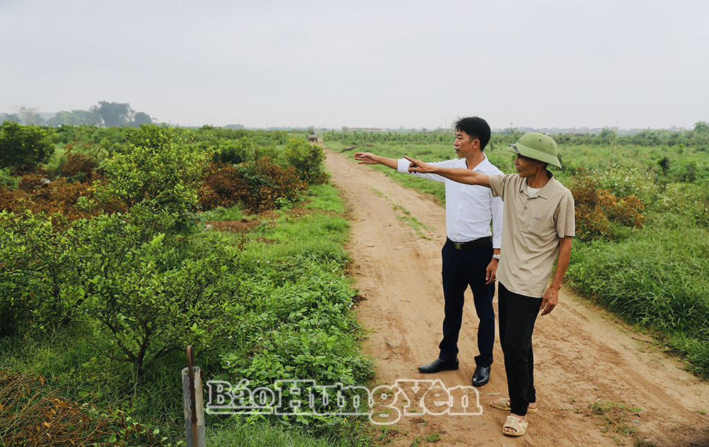 Ông Đỗ Nho Sờn (người đội mũ), thôn Mạn Xuyên đã nhận tiền bồi thường gần 3 sào đất trồng quất.