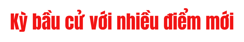 Ảnh co giãn vừa văn bản