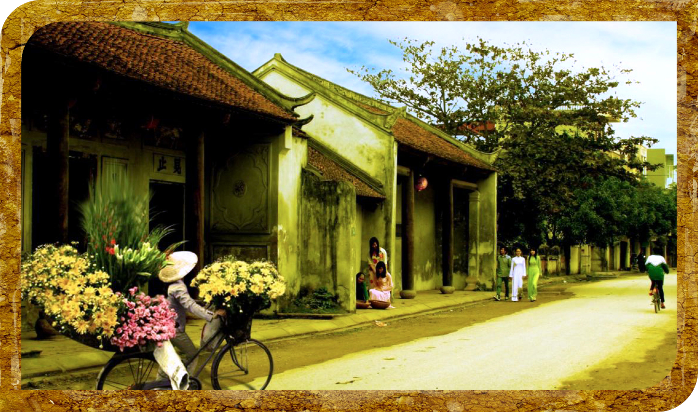 Ảnh co giãn vừa văn bản