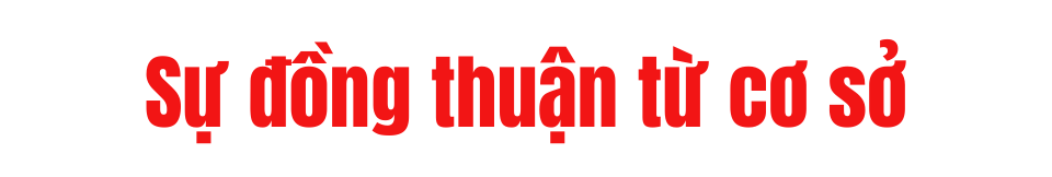 Ảnh co giãn vừa văn bản